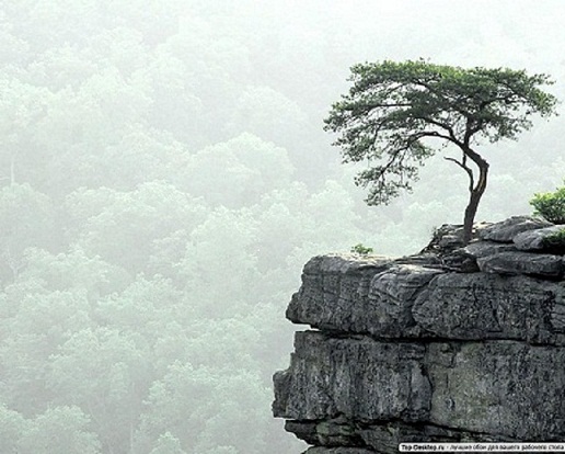 ���� ��� 2