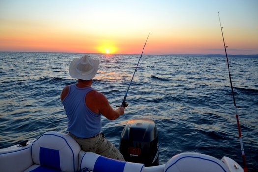 ������ ������