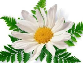 Владимир Филатов 3