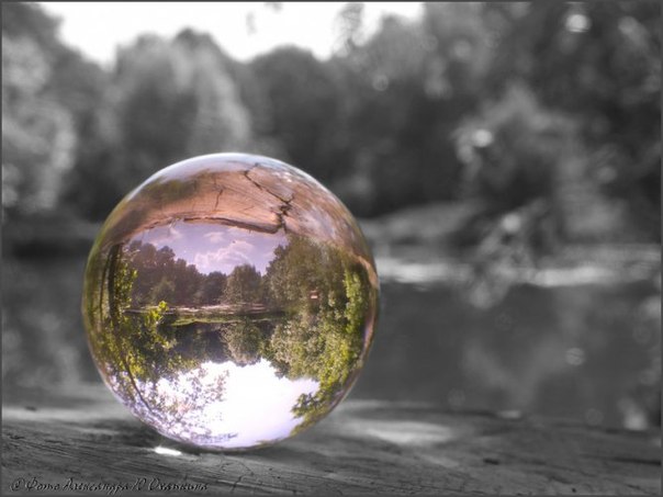 ����� ����