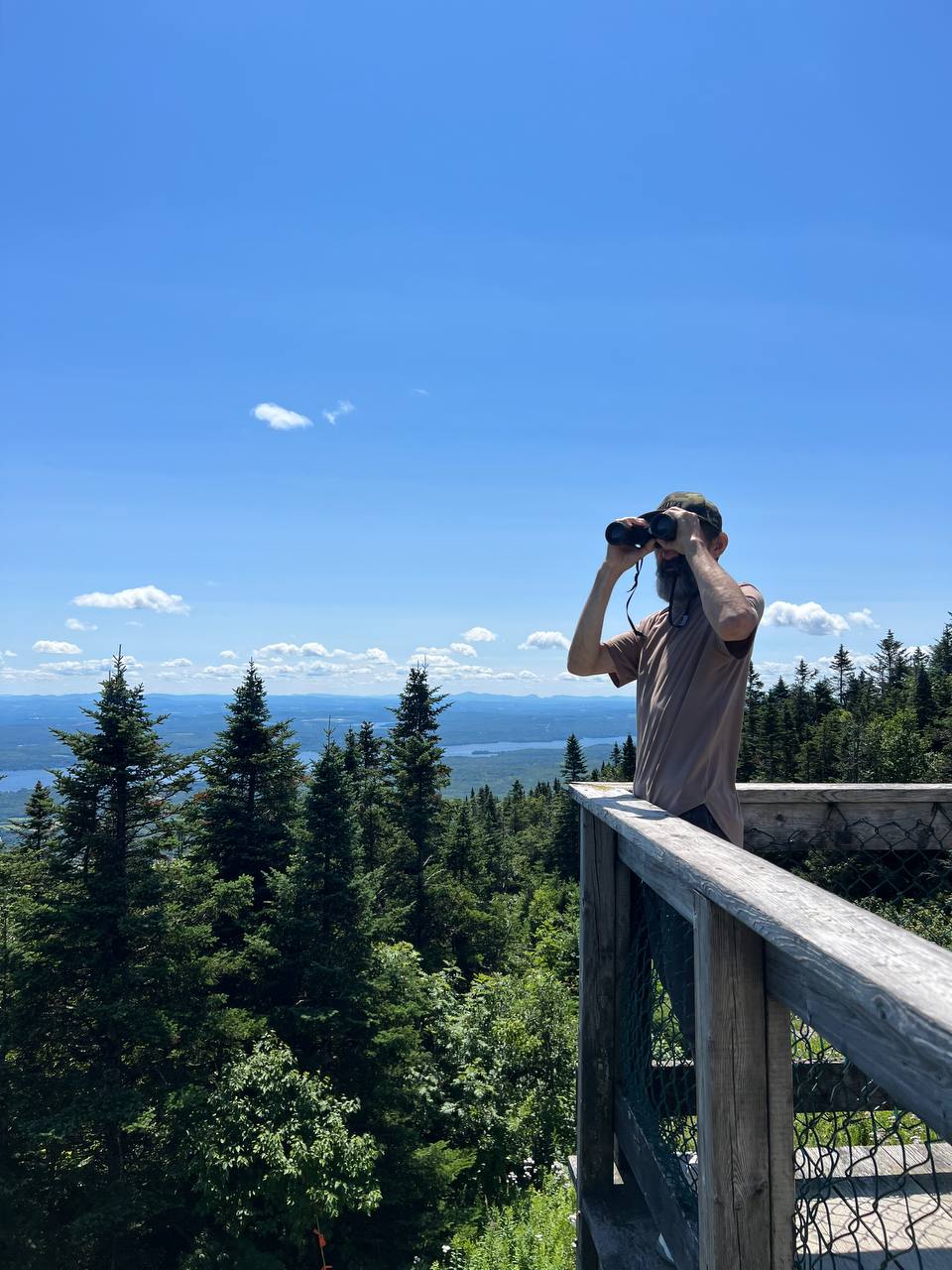 �������� ��������