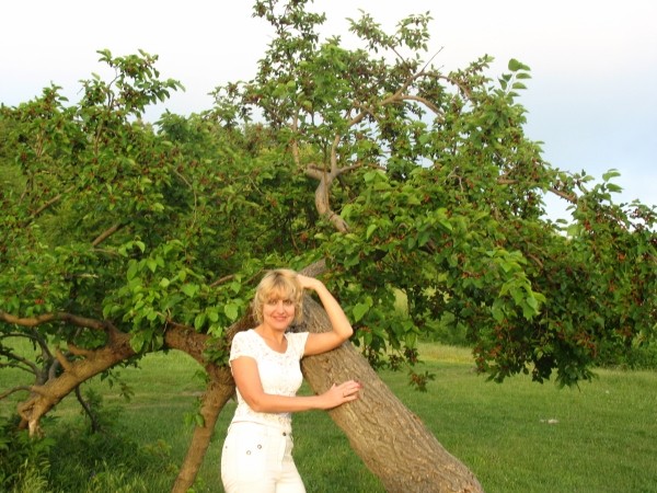 Лена Жданова