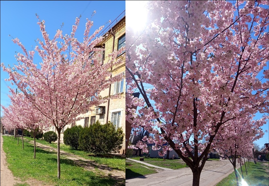 ������ ������ 74