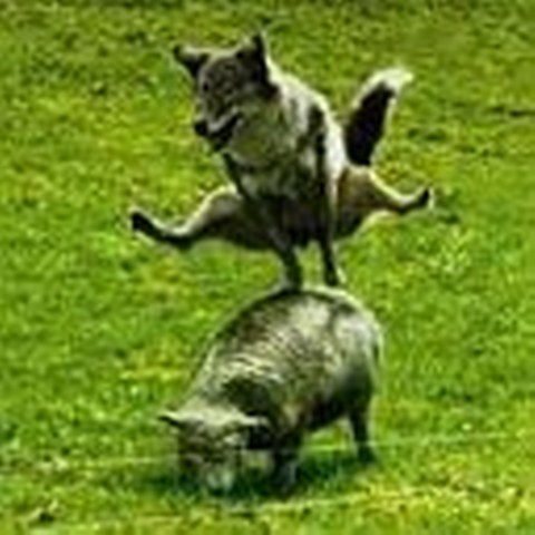 Хочу Быть Счастливым