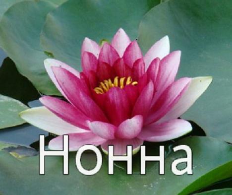 Нонна Рыбалко