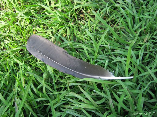 Лариса Сергеевна Мягкова