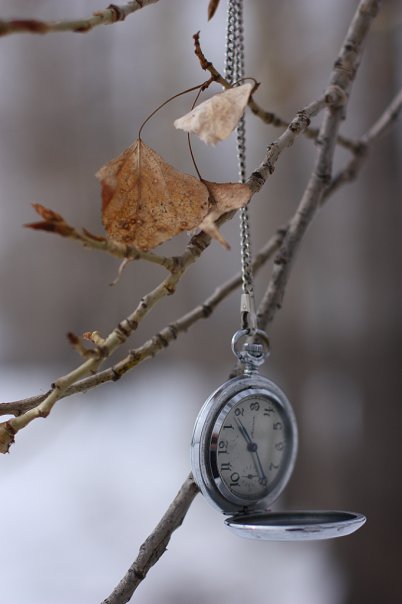 ������� ��������