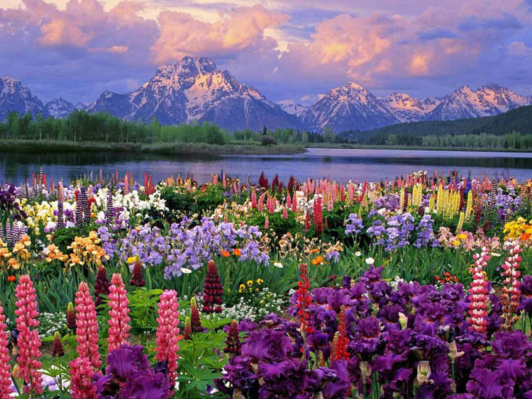 ����� ���������