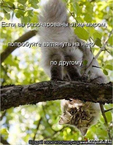 Пушок Который Пух