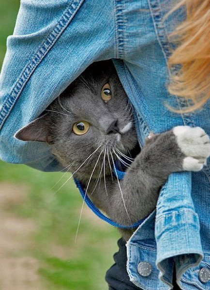 Дождливое Сердце