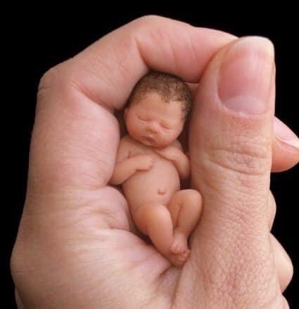 ������ ���������