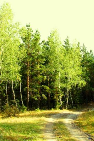 Надежда Охрименко