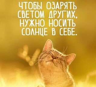 Ольжетта