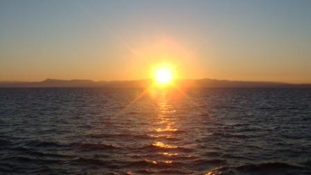 Тамара Одиссева