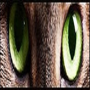 Алексей Ткачук-Авиценна