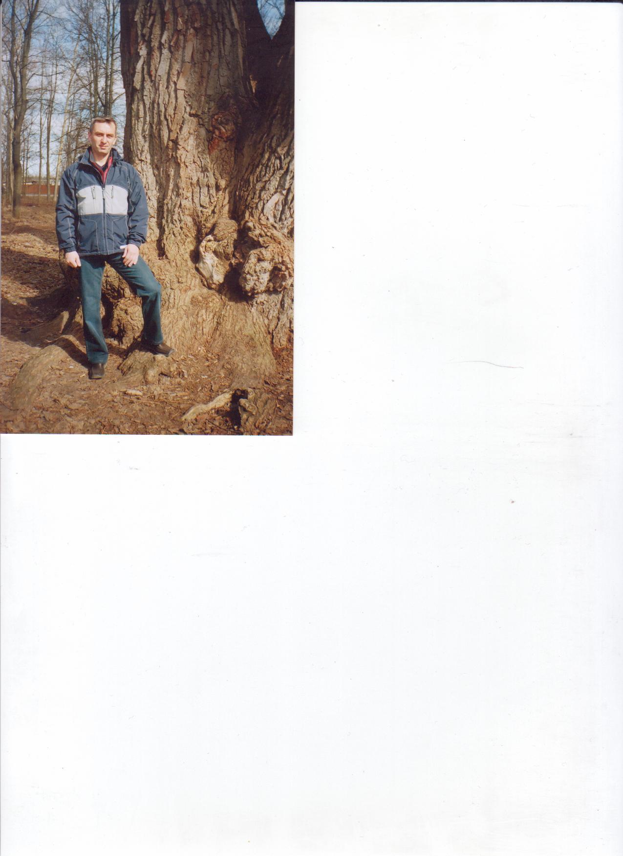 ������ ������