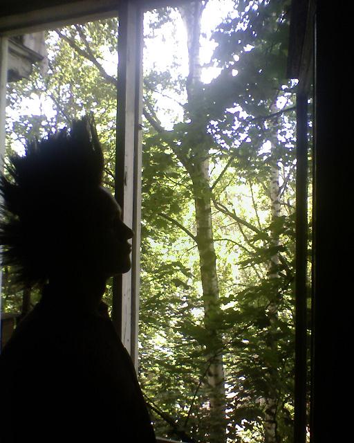 ��� ���������