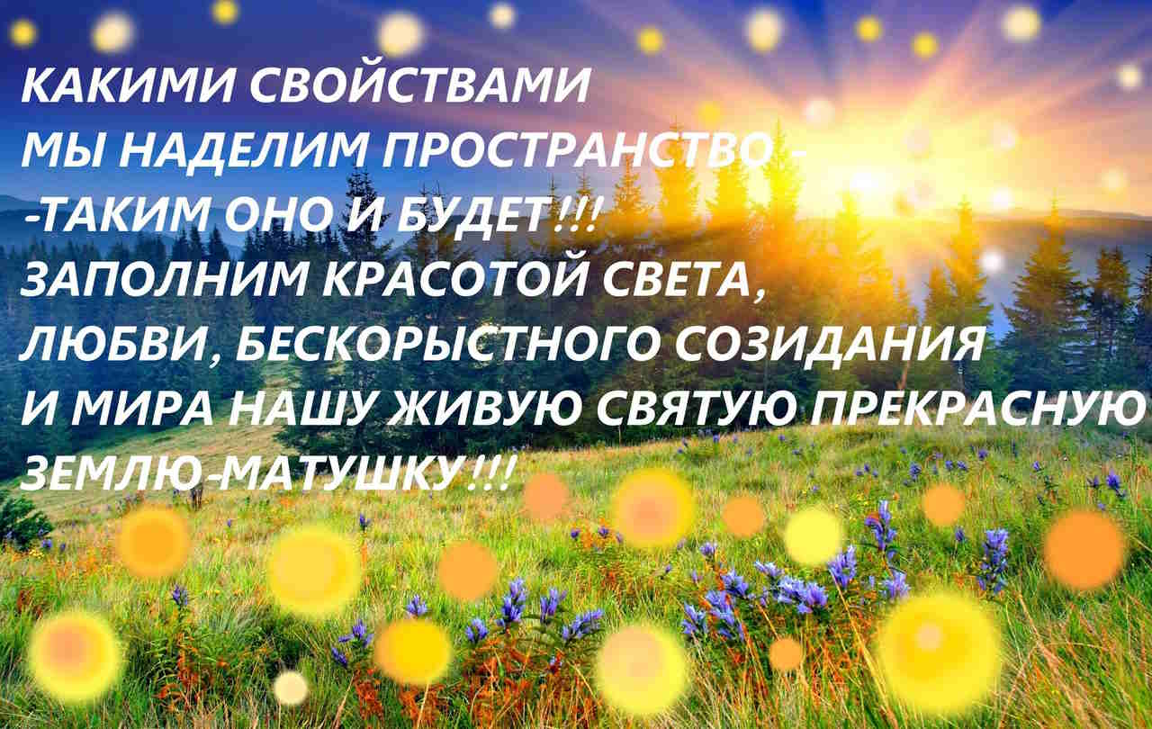 ���� ���������