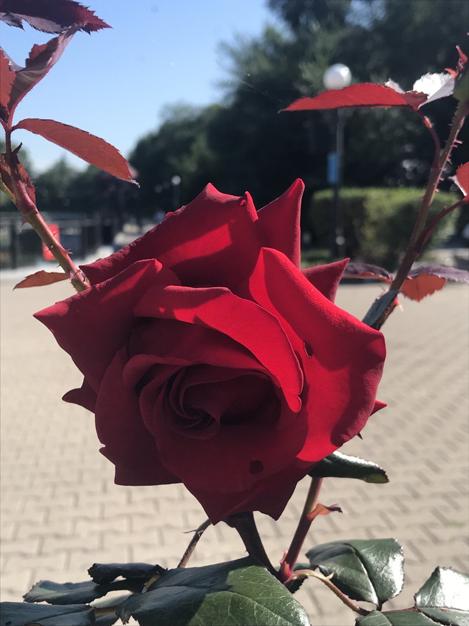 ����� �������� 7