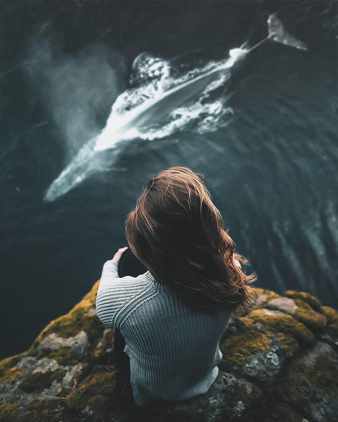 ���� ������