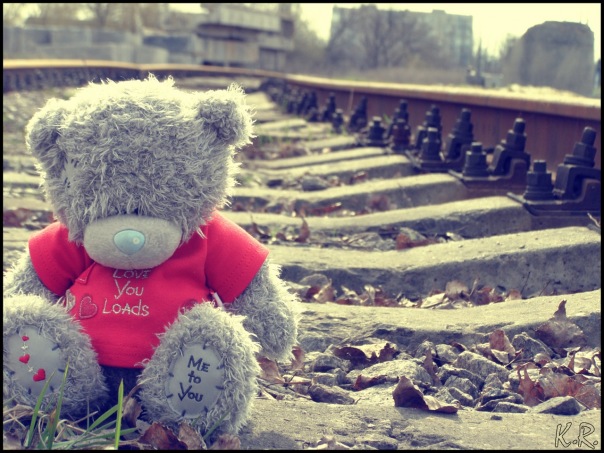 ������ ���������