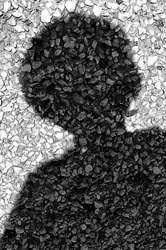 Елена Дельная