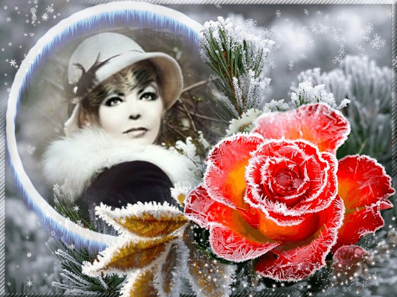 ������� �������� ���������