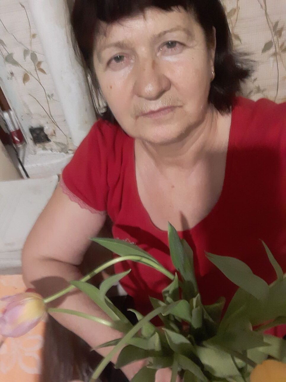 �������� ��������� 3