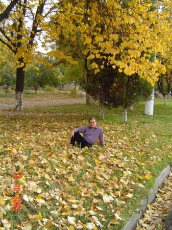 ��� �������