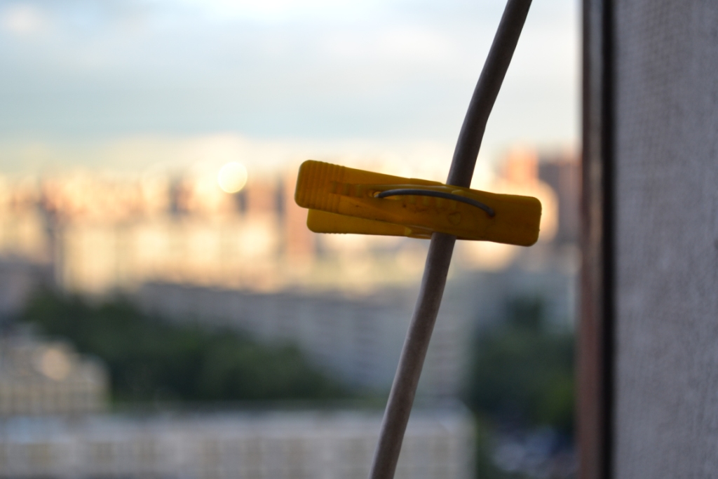 ���� ����������