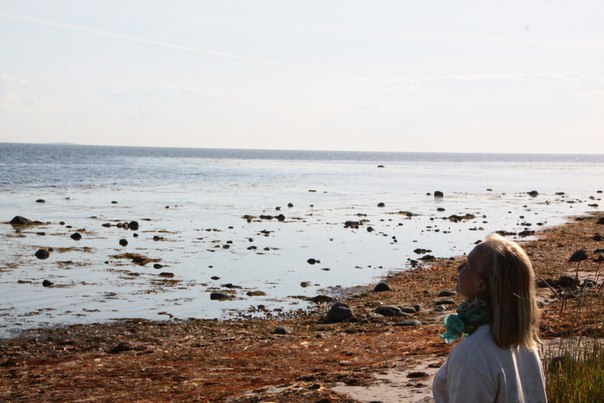 Северный Мечтатель