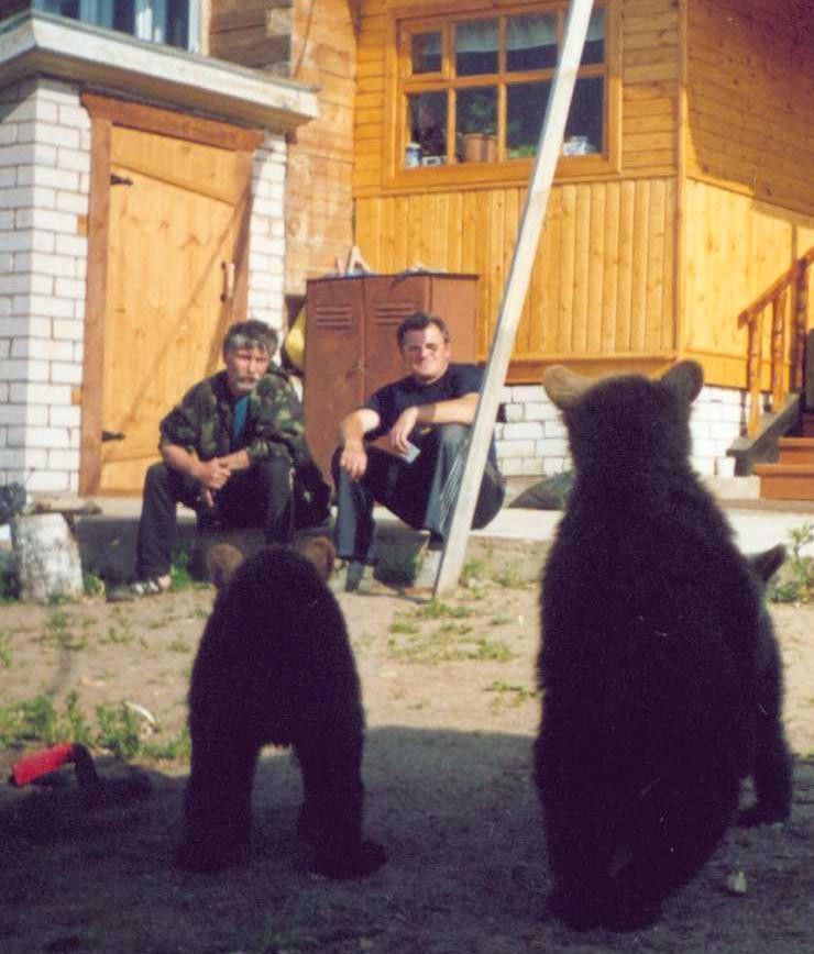 Владимир Сафронов -Николаич