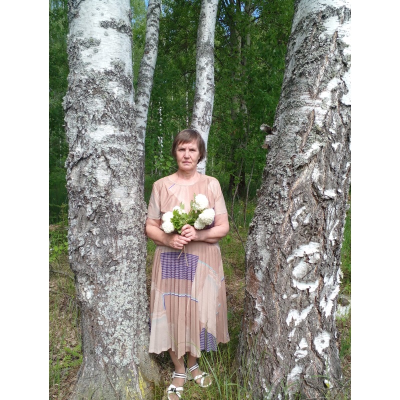 ��������� �����������