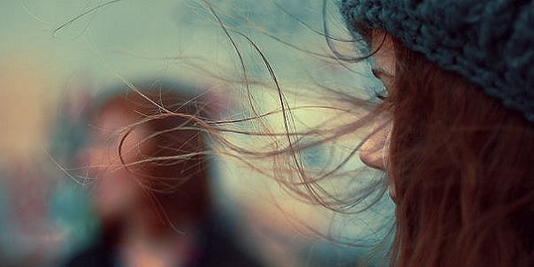 Дикая Собака Динго