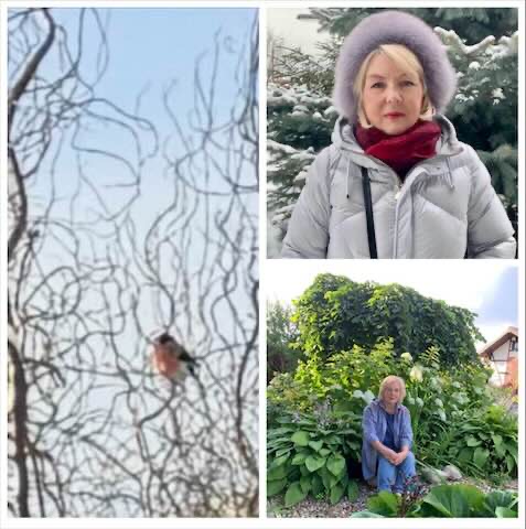 ������� �������� 2