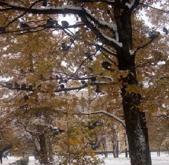 Светлана Захарченко