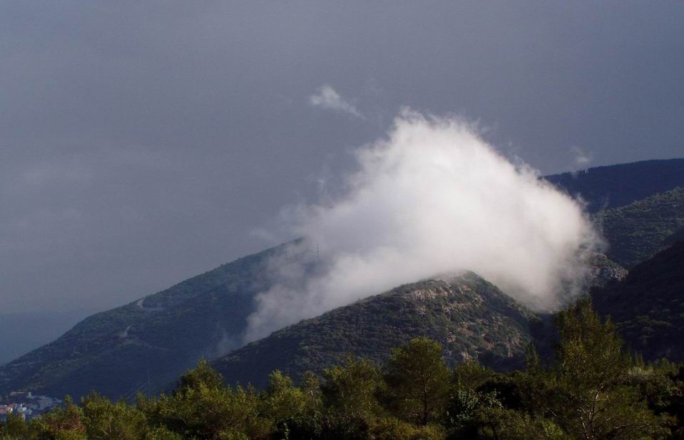 Владимир Зуховицкий