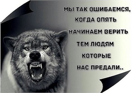 картинки я тебе не верю онлайн