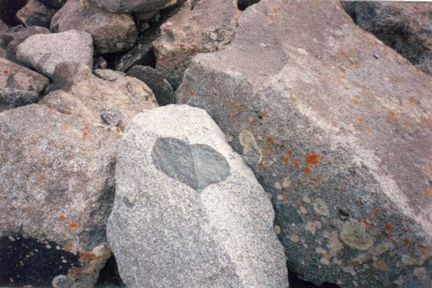 http://www.stihi.ru/pics/2007/07/04-462.jpg