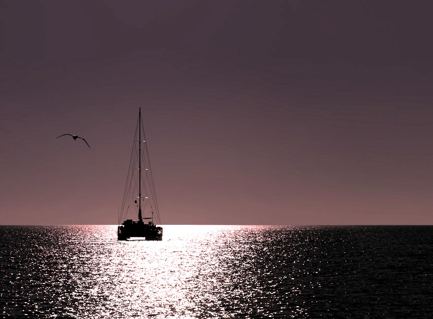 И всётаки море (Дмитрий Холостой) / Стихи.ру