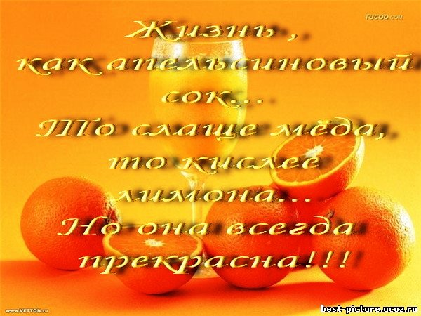 стихи картинки про жизнь онлайн стихи картинки про жизнь
