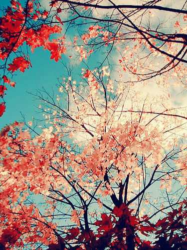 Картинка 30 из 8563