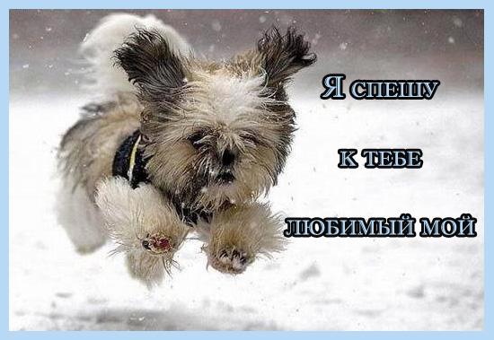 Картинки я бегу к тебе