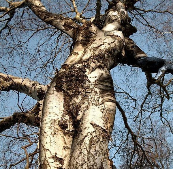 картинки фото ранней весны онлайн