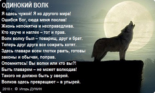 песня одинокий волк скачать