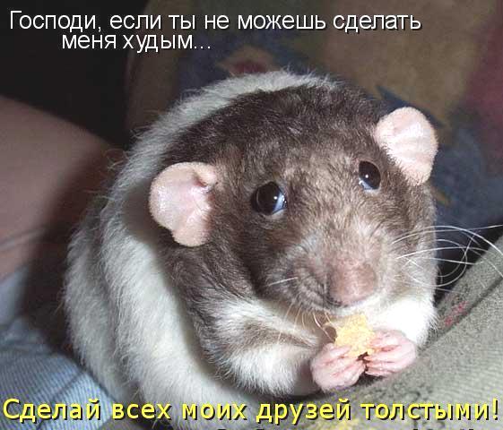 хочу жрать картинки онлайн хочу жрать картинки