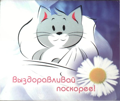 Офицера, картинки подруге в больницу