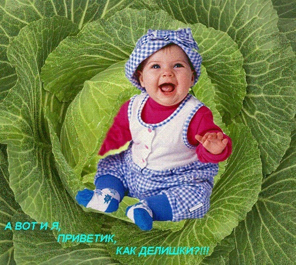 Днем рождения, открытка внуку полгода