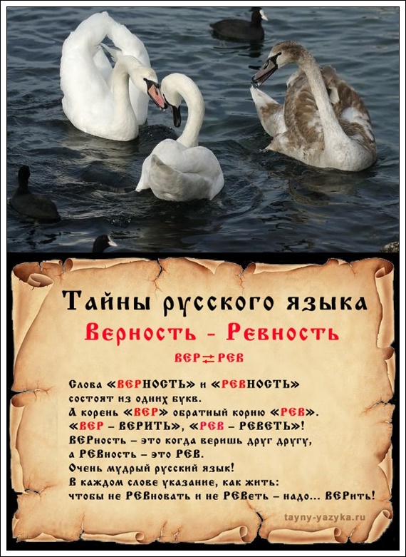 Картинки и цитаты о любви и верности, для детей часы