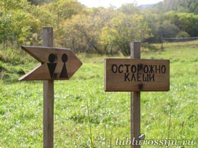 Стих про клеща прикол